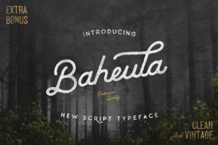 Baheula: A Quirky Handwritten Font for Crafters