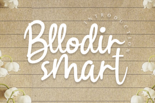 Bllodir Smart: A Friendly Font for Small Business Branding