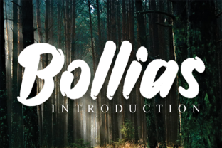 Bollias: A Premium Handwritten Font for Modern Web Design