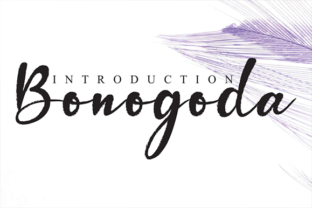 Bonogoda: A Real-World Designer Review