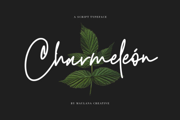 Charmeleon: A Premium Handwritten Font for Web Design
