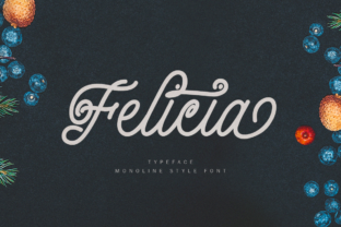 Felicia: The Elegant Script Font for Campaigns