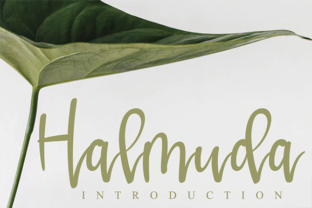 Halmuda: A Designer's Review of This Premium Script Amp