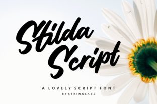 Stilda: The Quirky Script Font for Authentic Branding